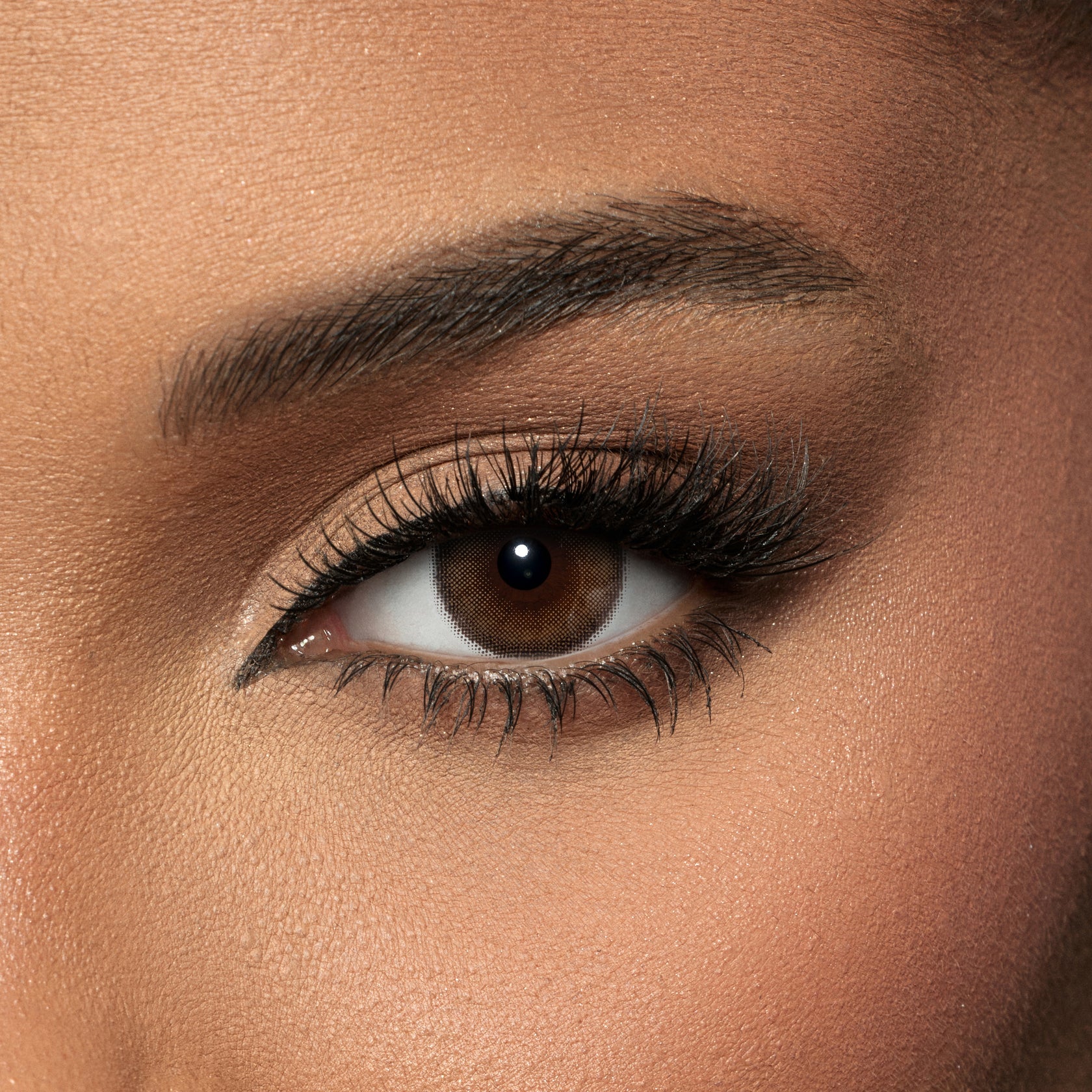 Amara Color Contact Lenses - Walnut