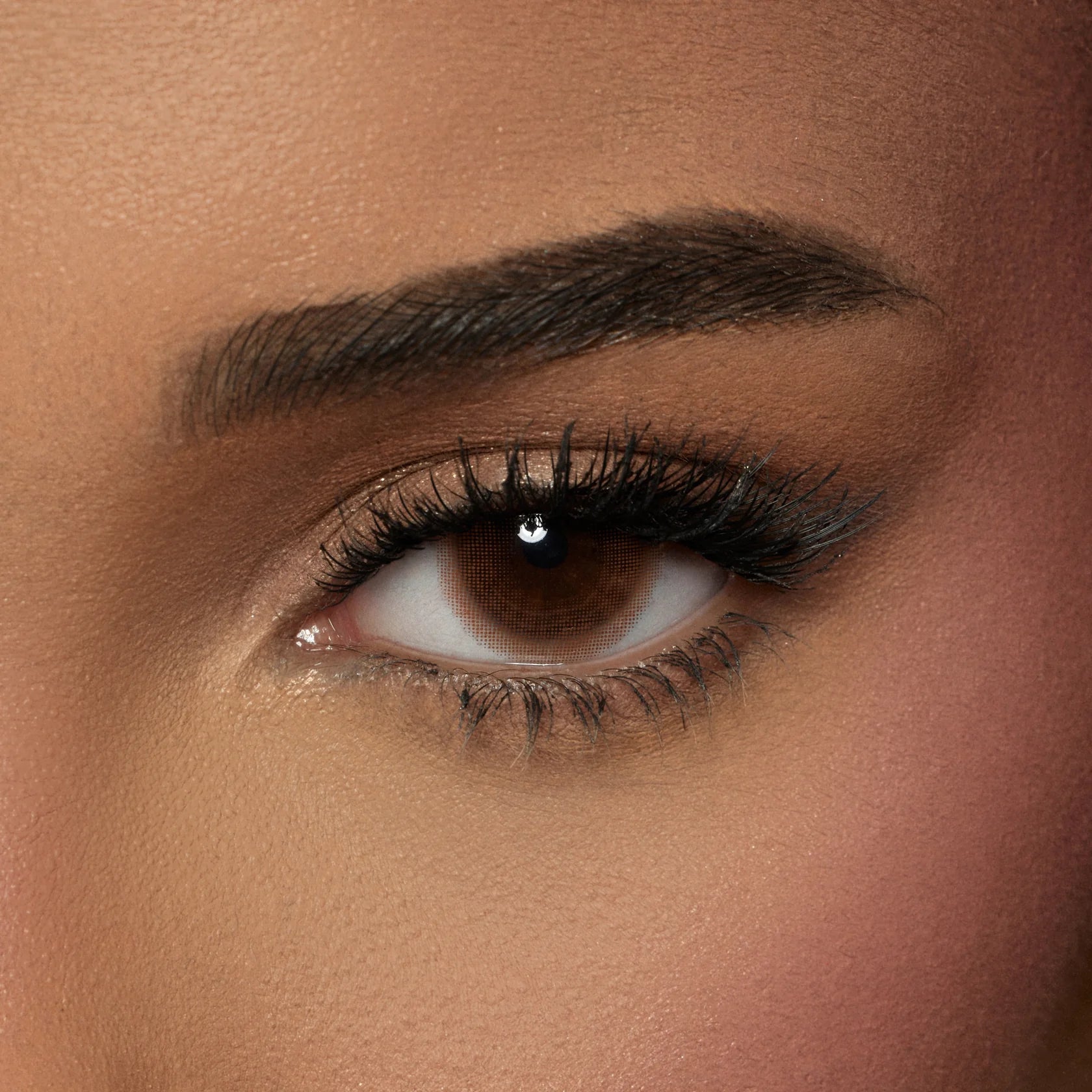 Amara Color Contact Lenses - Biscuit