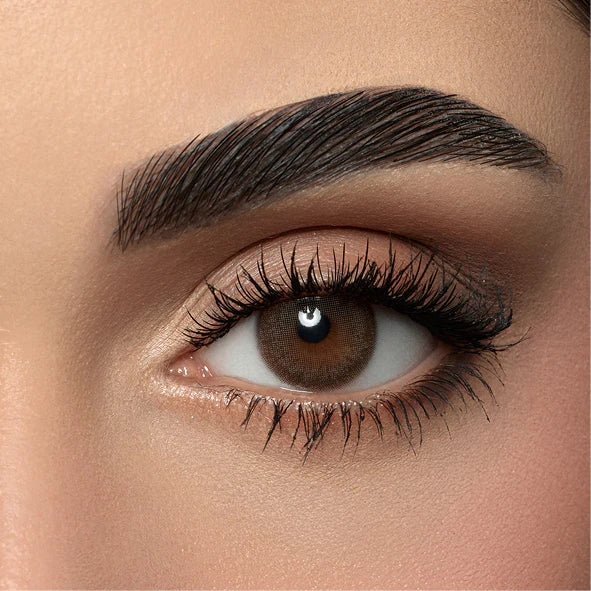 Amara Color Contact Lenses - Dark Sepia