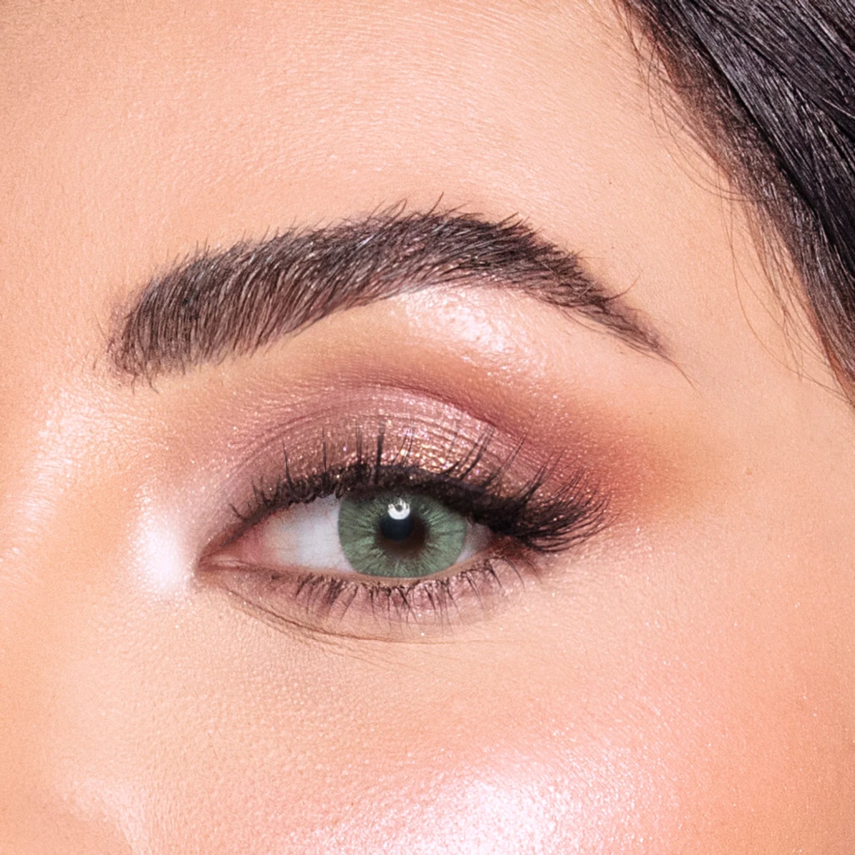 Amara Color Contact Lenses - Panther Eye
